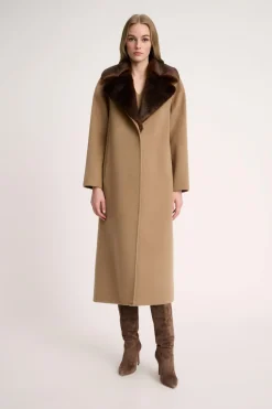 Sussulto